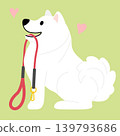 Samoyed dog want to go for walk cartoon illustration 139793686