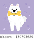 Samoyed carrying rubber bone toy illustration 139793689