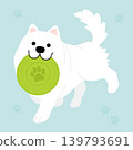 A cute Samoyed catching frisbee cartoon illustration 139793691
