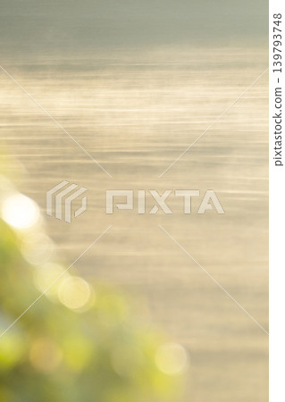 The surface of the water, shrouded in morning mist, at Togo Pond. The surface of the water, shrouded in morning mist, at Togo Pond. 139793748