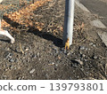 That guy who was left behind on the utility pole 139793801