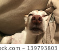 sleeping face 139793803
