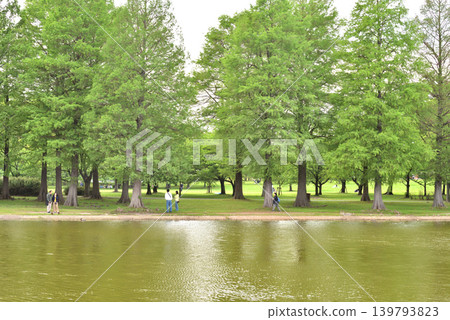 託內裡公園裡的大池塘,四周綠樹。 託內裡公園裡的大池塘,四周綠樹。 139793823