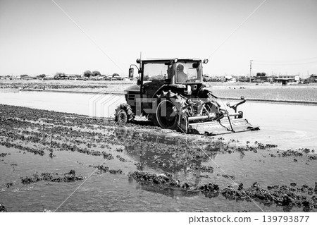 A scene of rice paddy plowing and a tractor, in black and white. A scene of rice paddy plowing and a tractor, in black and white. 139793877