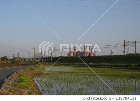 一條鐵路線旁邊是一片稻田。 139794151