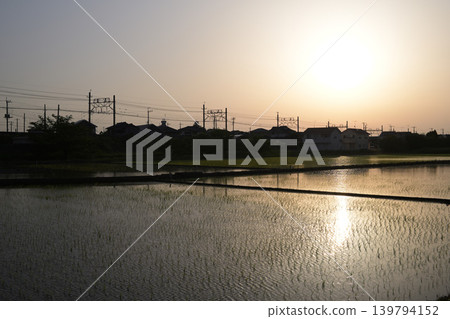 傍晚時分,稻田間的鐵軌蜿蜒而過。 傍晚時分,稻田間的鐵軌蜿蜒而過。 139794152
