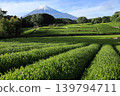 美麗的梯田茶園，可遠眺富士山。 139794711