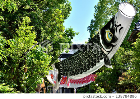 龜戶神社內展示著巨大的鯉魚彩帶。 龜戶神社內展示著巨大的鯉魚彩帶。 139794896