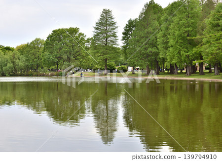 託內裡公園裡的大池塘,四周綠樹。 託內裡公園裡的大池塘,四周綠樹。 139794910