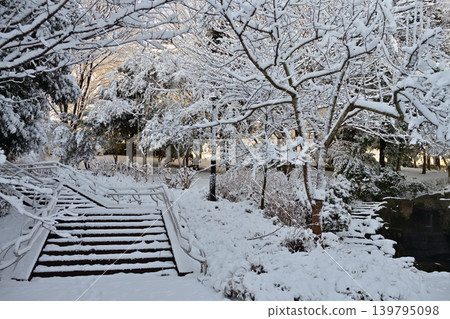 Snowy morning flower island park Snowy morning flower island park 139795098