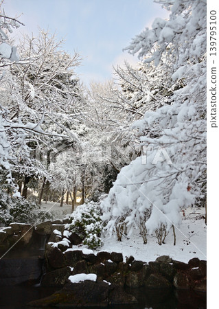 Snowy morning flower island park Snowy morning flower island park 139795100
