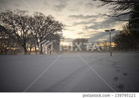 斯諾伊早晨花海島公園 斯諾伊早晨花海島公園 139795121