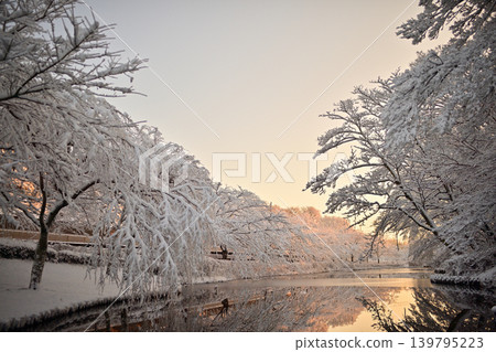 Snowy morning flower island park Snowy morning flower island park 139795223