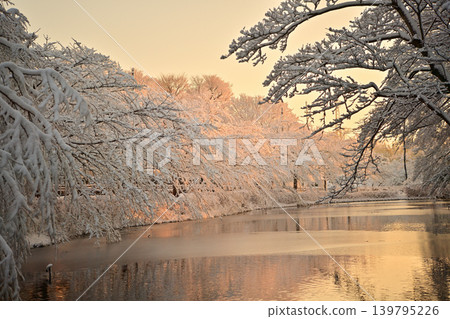 Snowy morning flower island park Snowy morning flower island park 139795226