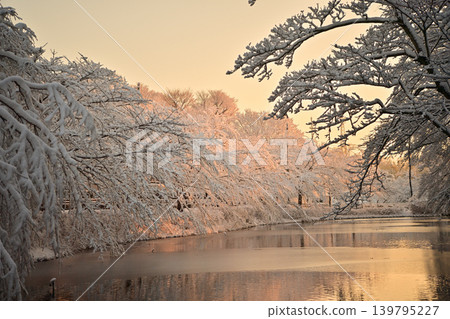 Snowy morning flower island park Snowy morning flower island park 139795227
