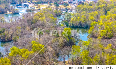 April 26 2026 Onumakoen Wetland Forest And Water Channels Aerial 139795619