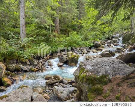 Rocky stream in alpine forest of Les Contamines-Montjoie, France Rocky stream in alpine forest of Les Contamines-Montjoie, France 139795855