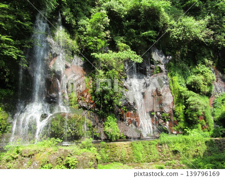Shirakawa Falls, a magnificent waterfall registered as a national monument, is located in Taketa City, Oita Prefecture. Shirakawa Falls, a magnificent waterfall registered as a national monument, is located in Taketa City, Oita Prefecture. 139796169