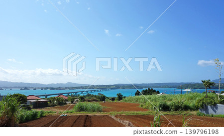 Kouri Bridge spans the blue sea, creating a tropical landscape of sprawling fields. Kouri Bridge spans the blue sea, creating a tropical landscape of sprawling fields. 139796198