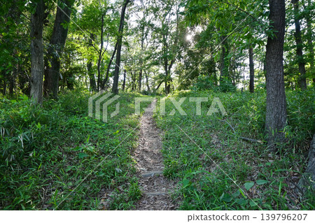 淺間山公園（深谷大龜） 139796207