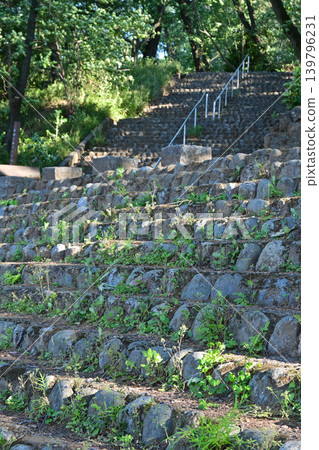 淺間山公園(深谷大龜) 淺間山公園(深谷大龜) 139796231