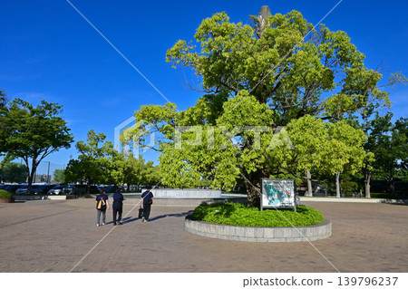 淺間山公園(深谷大龜) 淺間山公園(深谷大龜) 139796237