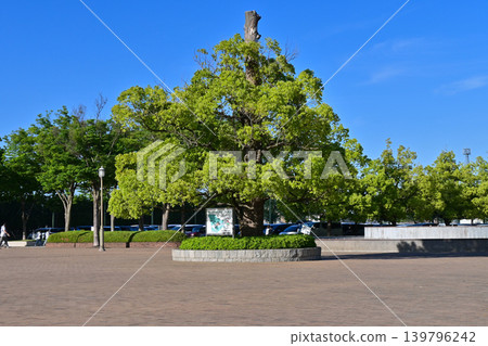 淺間山公園(深谷大龜) 淺間山公園(深谷大龜) 139796242