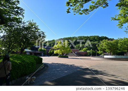 淺間山公園(深谷大龜) 淺間山公園(深谷大龜) 139796246