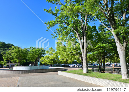 淺間山公園(深谷大龜) 淺間山公園(深谷大龜) 139796247