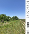 Blue sky and path 139796591