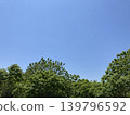 Early summer blue sky and fresh green trees 139796592