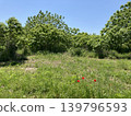 Early summer natural scenery 139796593