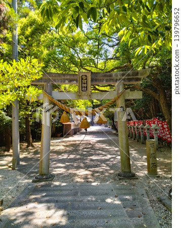 初夏的尾張多賀神社:能量之地 初夏的尾張多賀神社:能量之地 139796652