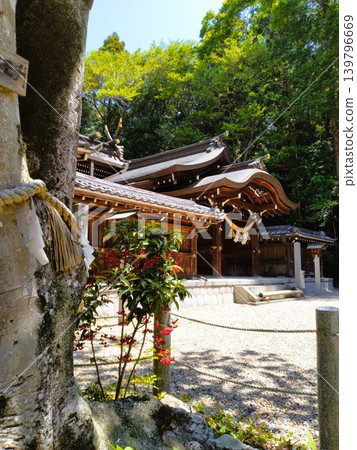 初夏的尾張多賀神社:能量之地 初夏的尾張多賀神社:能量之地 139796669