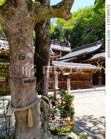 初夏的尾張多賀神社:能量之地 初夏的尾張多賀神社:能量之地 139796672