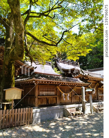 初夏的尾張多賀神社:能量之地 初夏的尾張多賀神社:能量之地 139796675