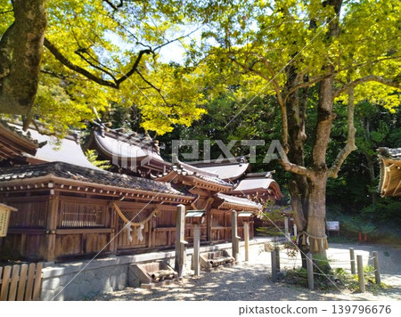 初夏的尾張多賀神社:能量之地 初夏的尾張多賀神社:能量之地 139796676
