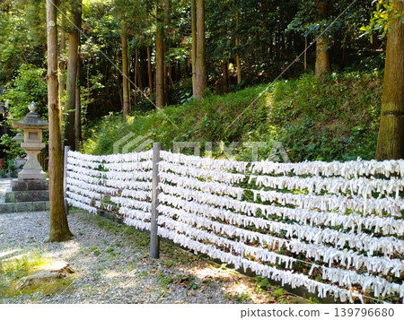 Owari Taga Shrine in early summer: A power spot Owari Taga Shrine in early summer: A power spot 139796680