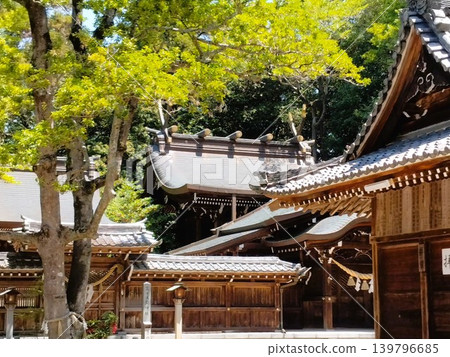 Owari Taga Shrine in early summer: A power spot Owari Taga Shrine in early summer: A power spot 139796685