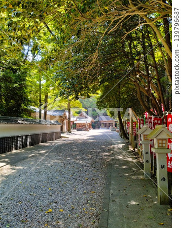 初夏的尾張多賀神社:能量之地 初夏的尾張多賀神社:能量之地 139796687