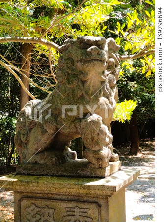Owari Taga Shrine in early summer: A power spot 139796694
