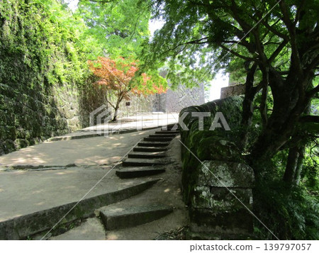 Oka Castle Ruins, a nationally designated historical site and one of Japan's 100 Famous Castles, located in Taketa City, Oita Prefecture, is known for Rentaro Taki's "The Moon Over the Ruined Castle." 139797057