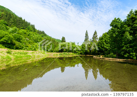 鬱鬱蔥蔥的青山和水中稻田的倒影。 鬱鬱蔥蔥的青山和水中稻田的倒影。 139797135