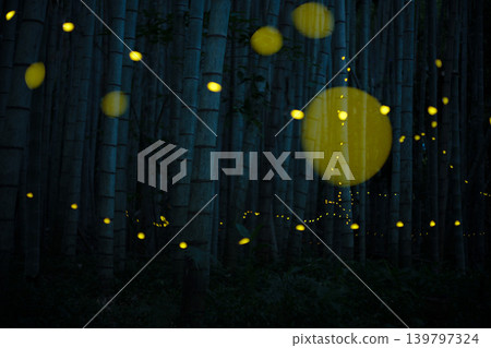 Princess fireflies dancing in the bamboo grove Princess fireflies dancing in the bamboo grove 139797324