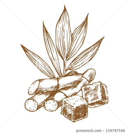 Sugarcane. Sketch illustration. Composition of sugarcane stems and brown sugar. Sugarcane. Sketch illustration. Composition of sugarcane stems and brown sugar. 139797588