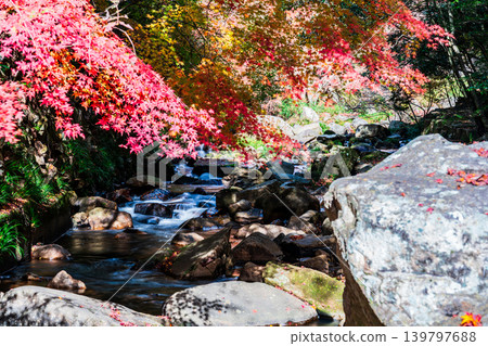 Gokei Gorge: Late Autumn Scenery - Autumn Leaves and Stream 3, Soja City, Okayama Prefecture Gokei Gorge: Late Autumn Scenery - Autumn Leaves and Stream 3, Soja City, Okayama Prefecture 139797688