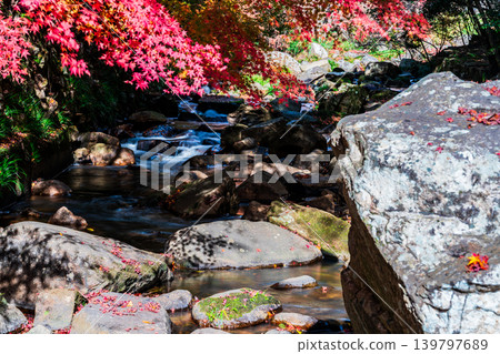 Gokei Gorge: Late Autumn Scenery - Autumn Leaves and Stream 4, Soja City, Okayama Prefecture Gokei Gorge: Late Autumn Scenery - Autumn Leaves and Stream 4, Soja City, Okayama Prefecture 139797689