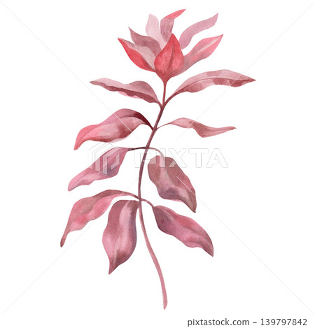 Dark seaweed. This isolated watercolor illustration is suitable for nature, ecology, and floral designs, as well as for cards, textiles, and decorative elements. Dark seaweed. This isolated watercolor illustration is suitable for nature, ecology, and floral designs, as well as for cards, textiles, and decorative elements. 139797842