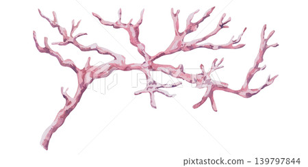A curved coral branch. This isolated watercolor illustration is perfect for branding, themed parties, interior design, and advertising of home goods, jewelry, and souvenirs. 139797844