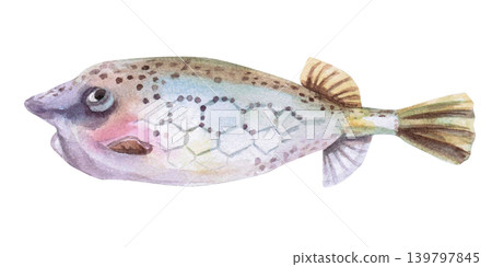Sea fish with a decorative pattern. Isolated watercolor illustration of a sea creature for children's books, greeting cards, themed parties, and designs related to the sea, ocean, and nature. 139797845
